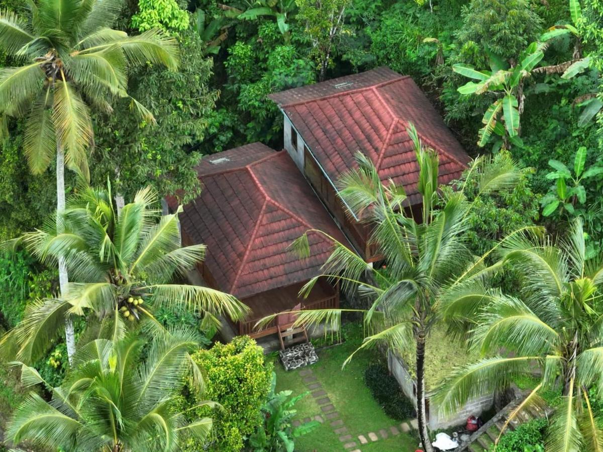 Uma D'Nyuh Homestay Singaraja  Luaran gambar